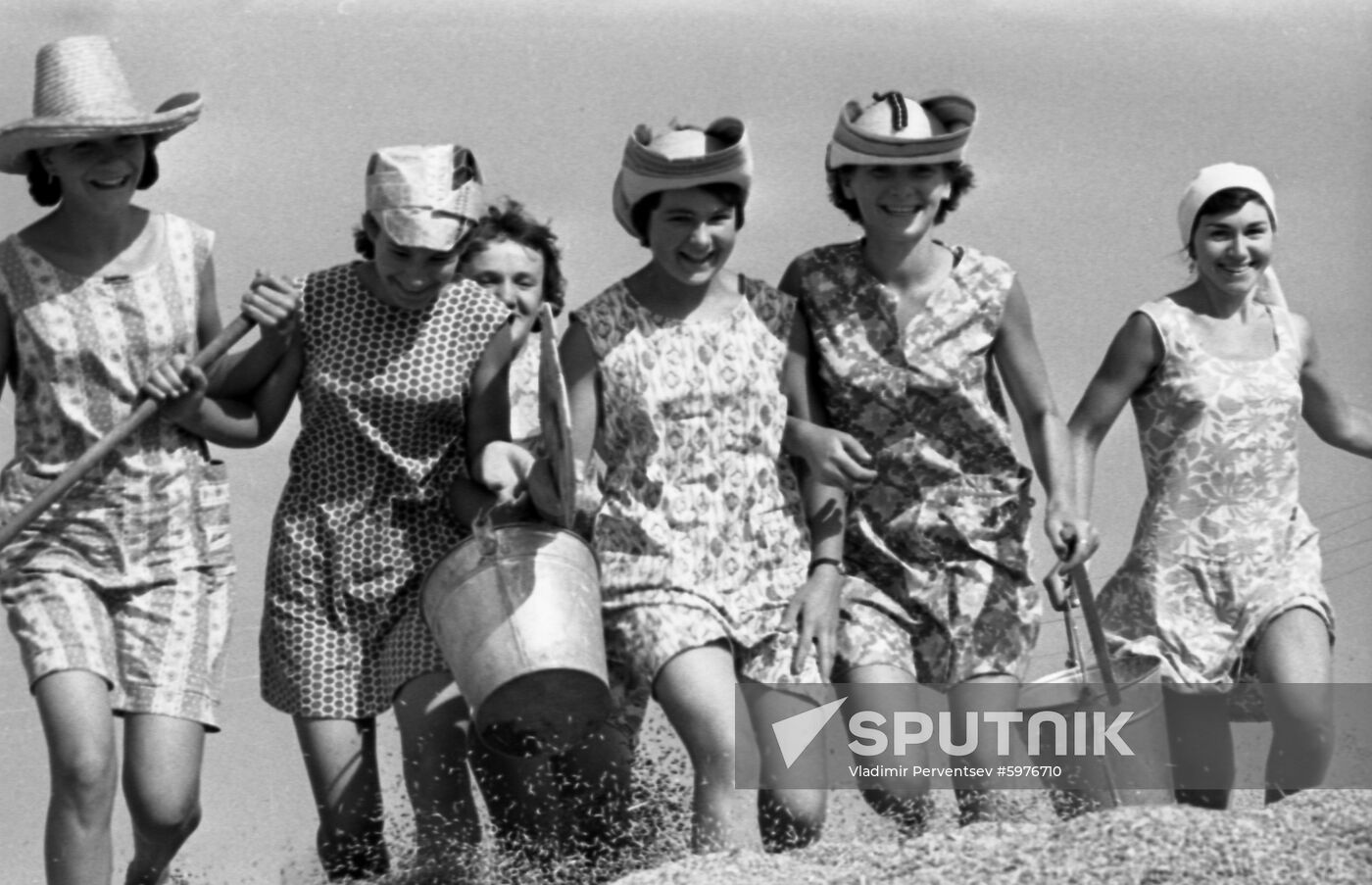 Kuban Collective Farm in Krasnodar Territory