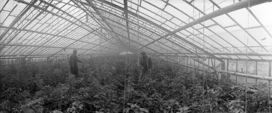 Pravda collective farm in Moldavia