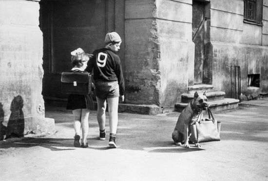 Still from film Maverick from Grade 5 B