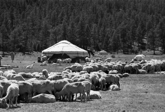 Ak-Erik collective farm in Tuva
