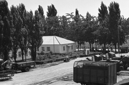 Kuban collective farm