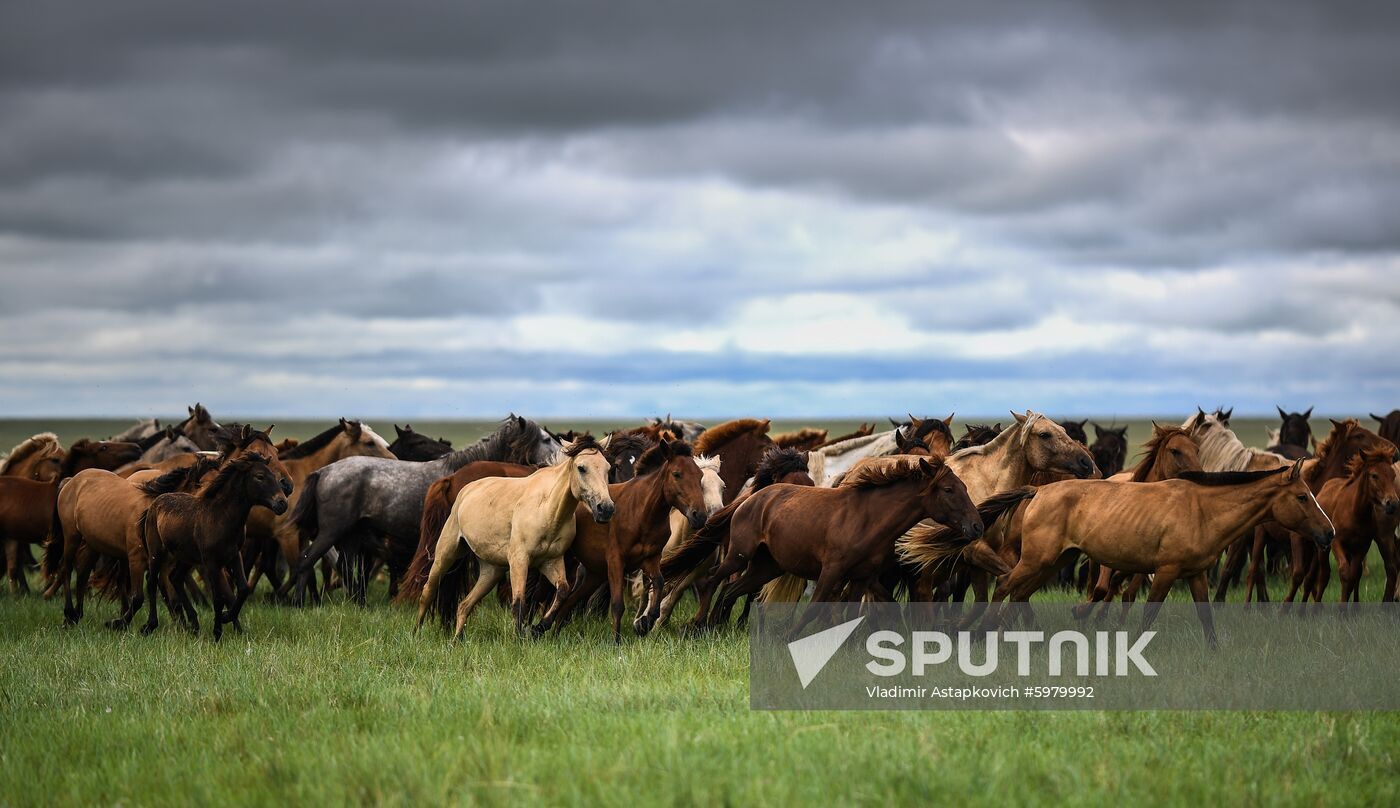 Mongolia Daily Life