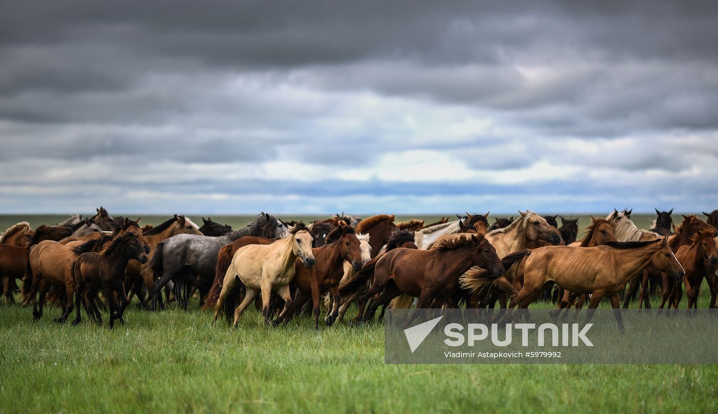 Mongolia Daily Life