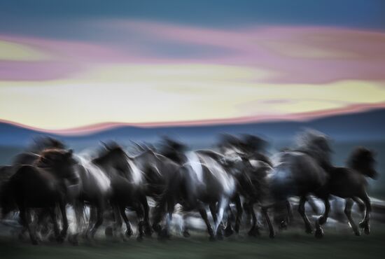 Mongolia Daily Life