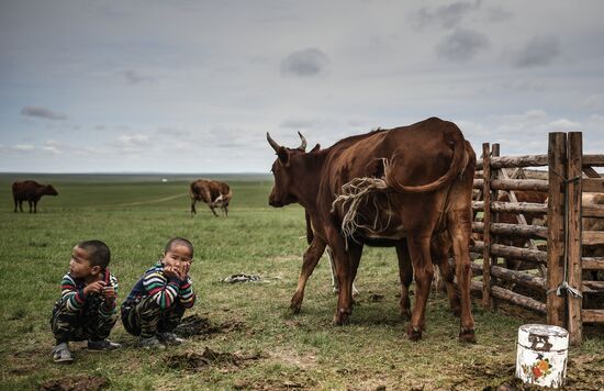 Mongolia Daily Life