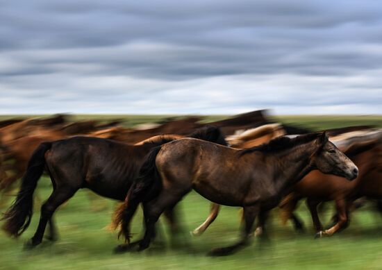 Mongolia Daily Life