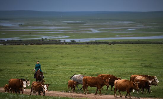 Mongolia Daily Life