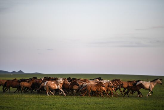 Mongolia Daily Life