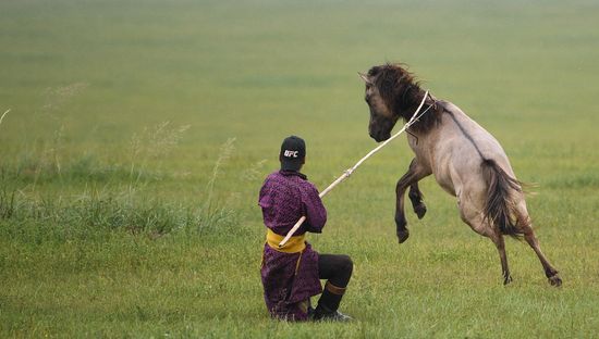 Mongolia Daily Life