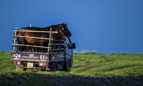 Mongolia Daily Life