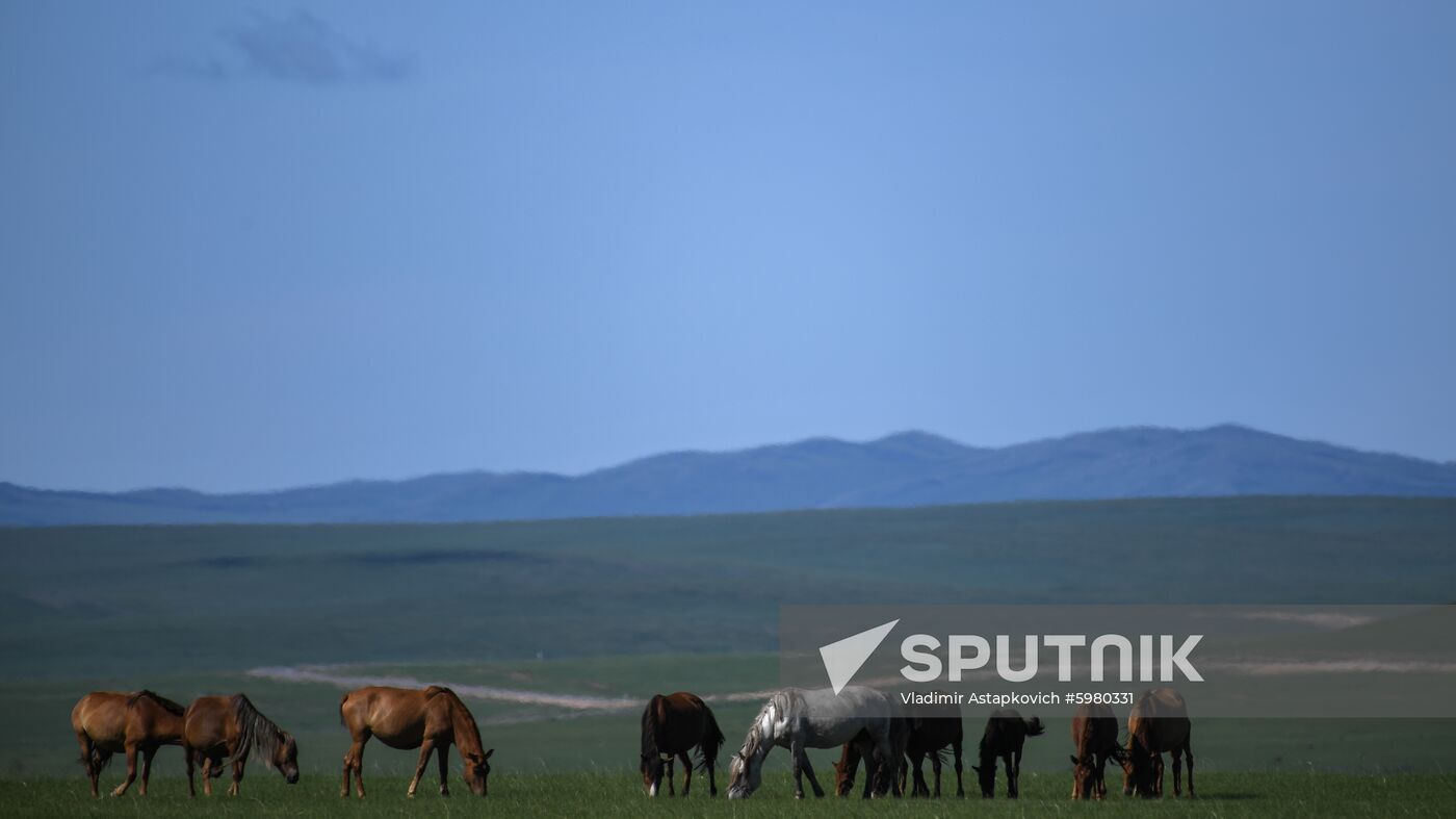 Mongolia Daily Life