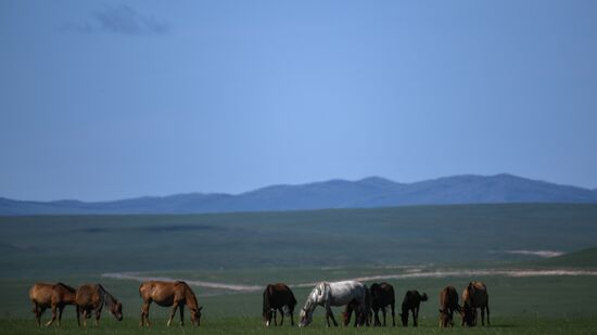 Mongolia Daily Life