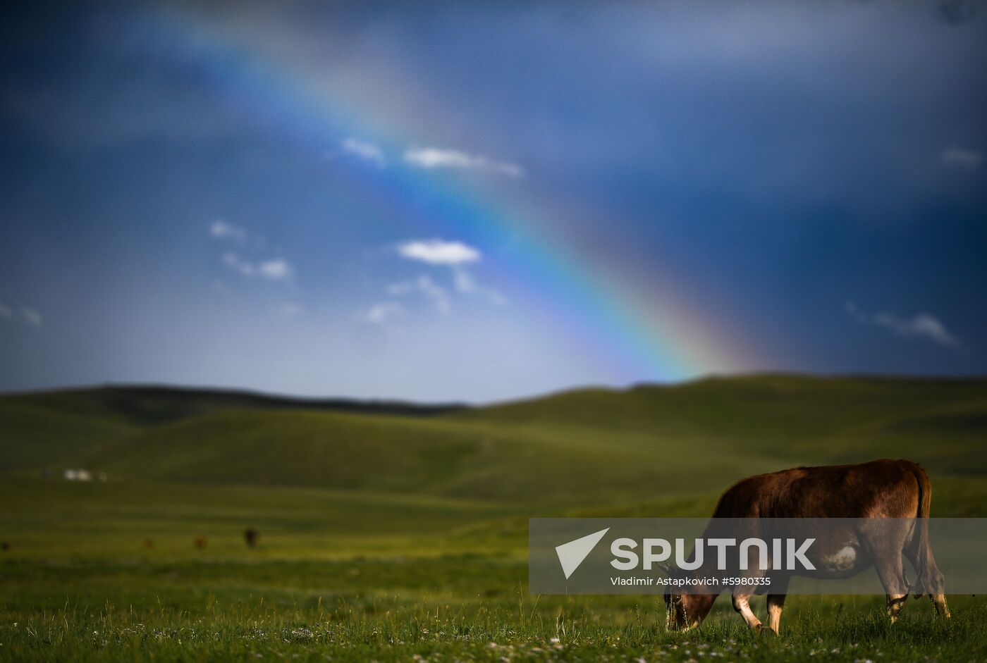 Mongolia Daily Life