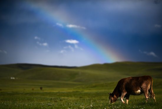 Mongolia Daily Life