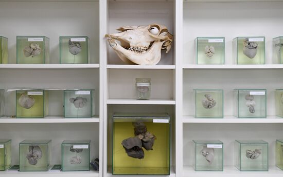 Russia Biotechnology