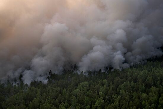 Russia Siberia Forest Fires