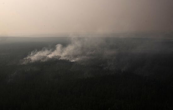 Russia Siberia Forest Fires