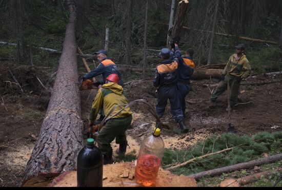 Russia Siberia Forest Fires