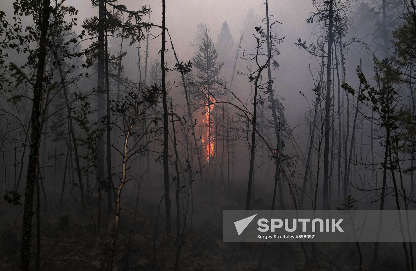 Russia Siberia Forest Fires