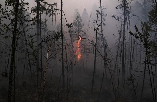 Russia Siberia Forest Fires