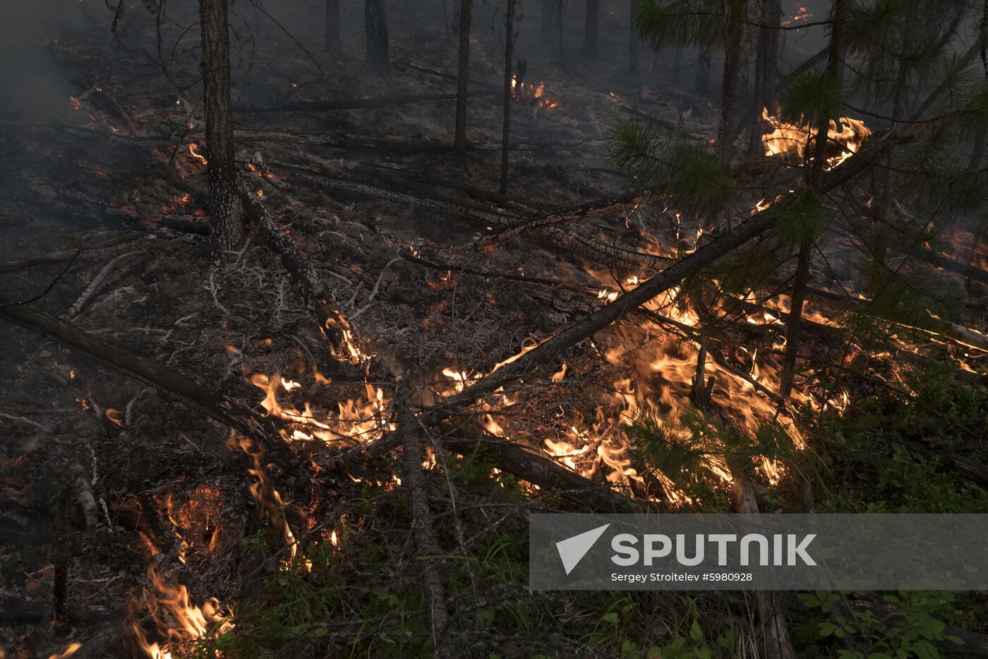 Russia Siberia Forest Fires