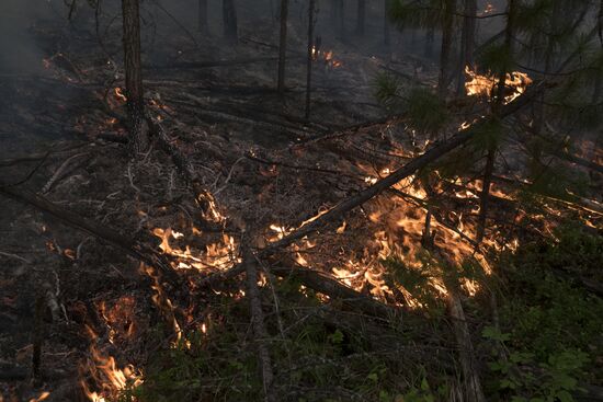 Russia Siberia Forest Fires