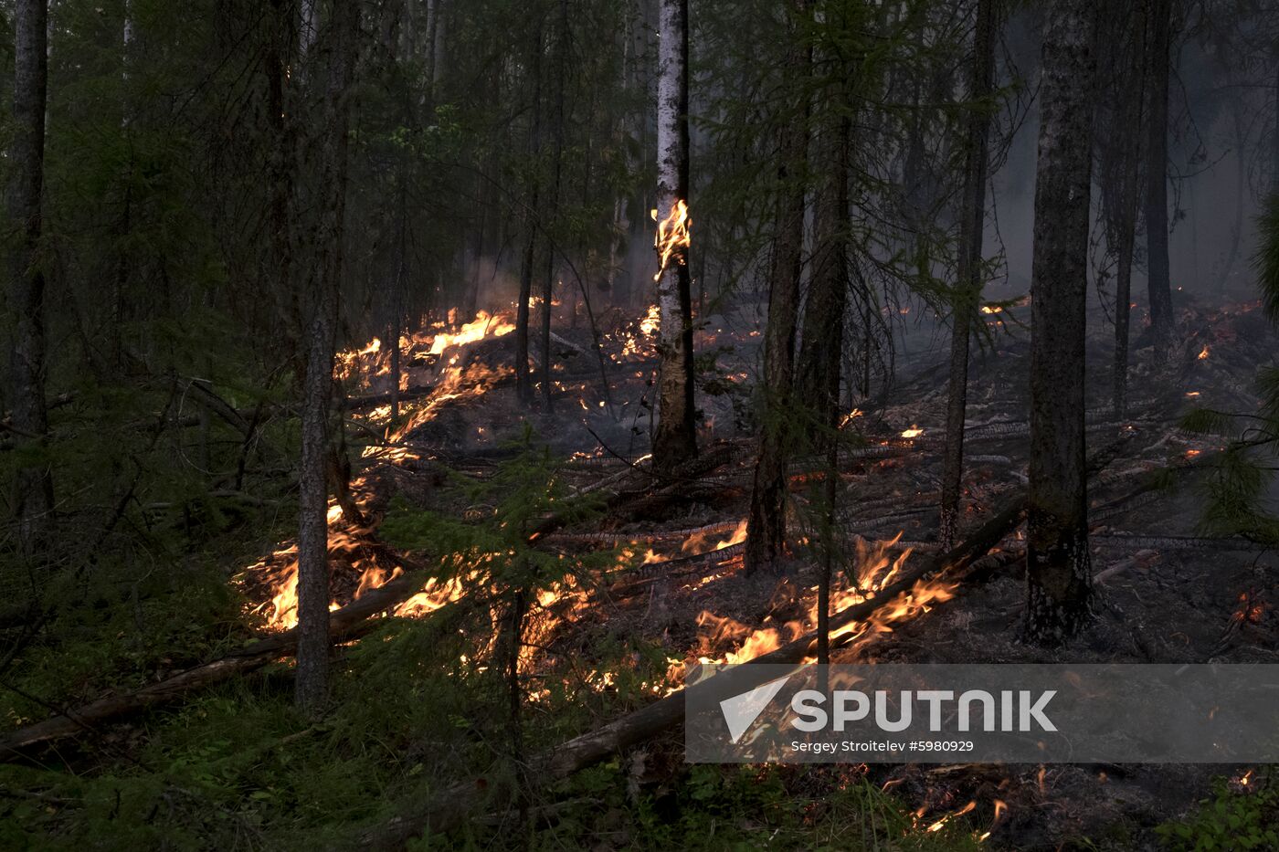 Russia Siberia Forest Fires