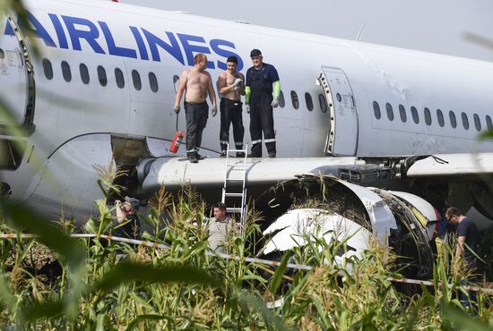 Russia A321 Plane Accident