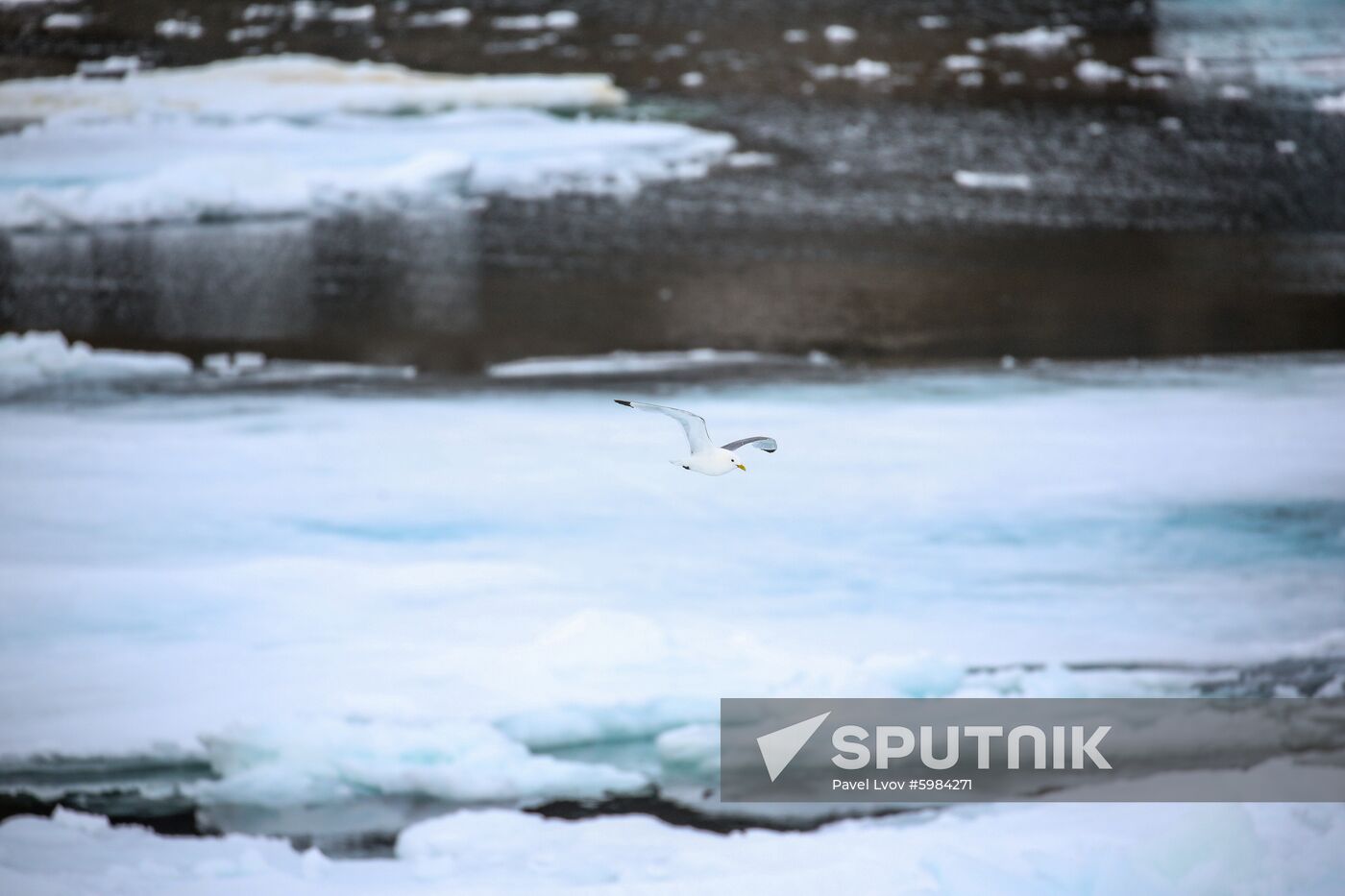 Russia Arctic