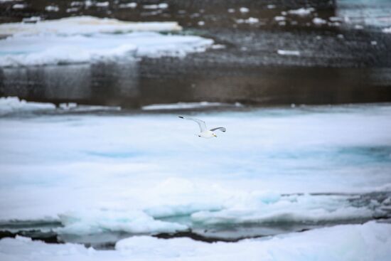 Russia Arctic
