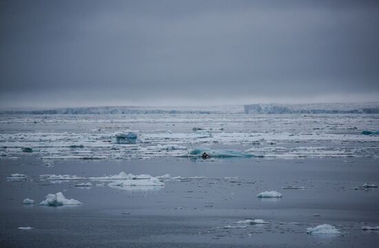Russia Arctic