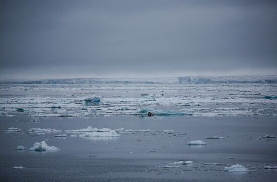 Russia Arctic