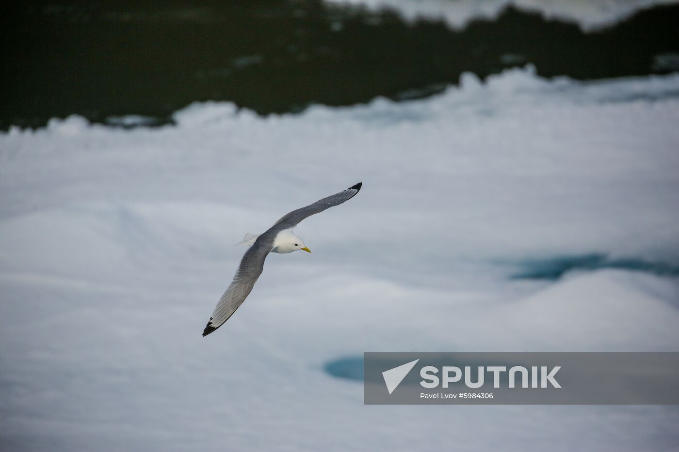 Russia Arctic