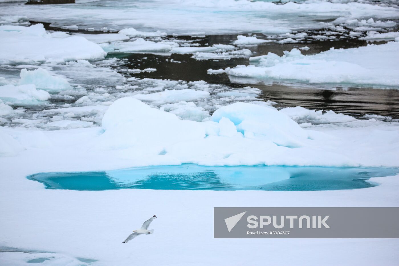Russia Arctic