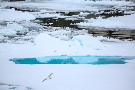 Russia Arctic