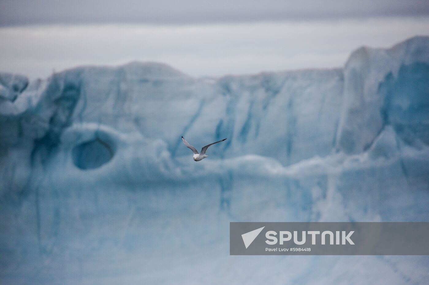 Russia Arctic