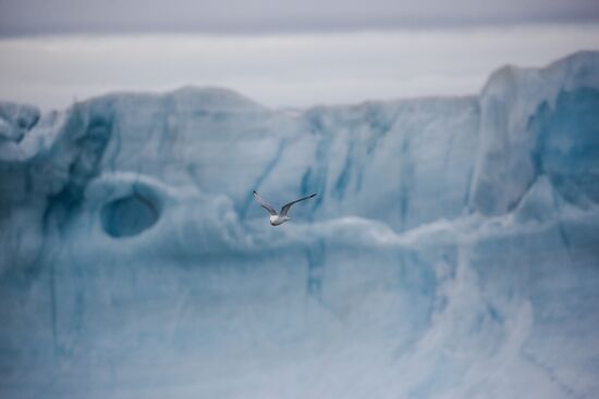 Russia Arctic