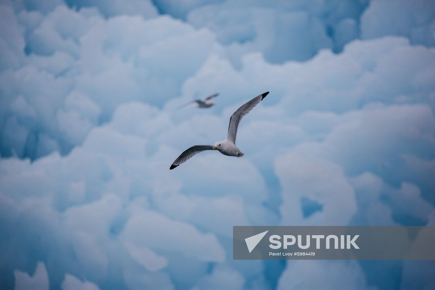 Russia Arctic