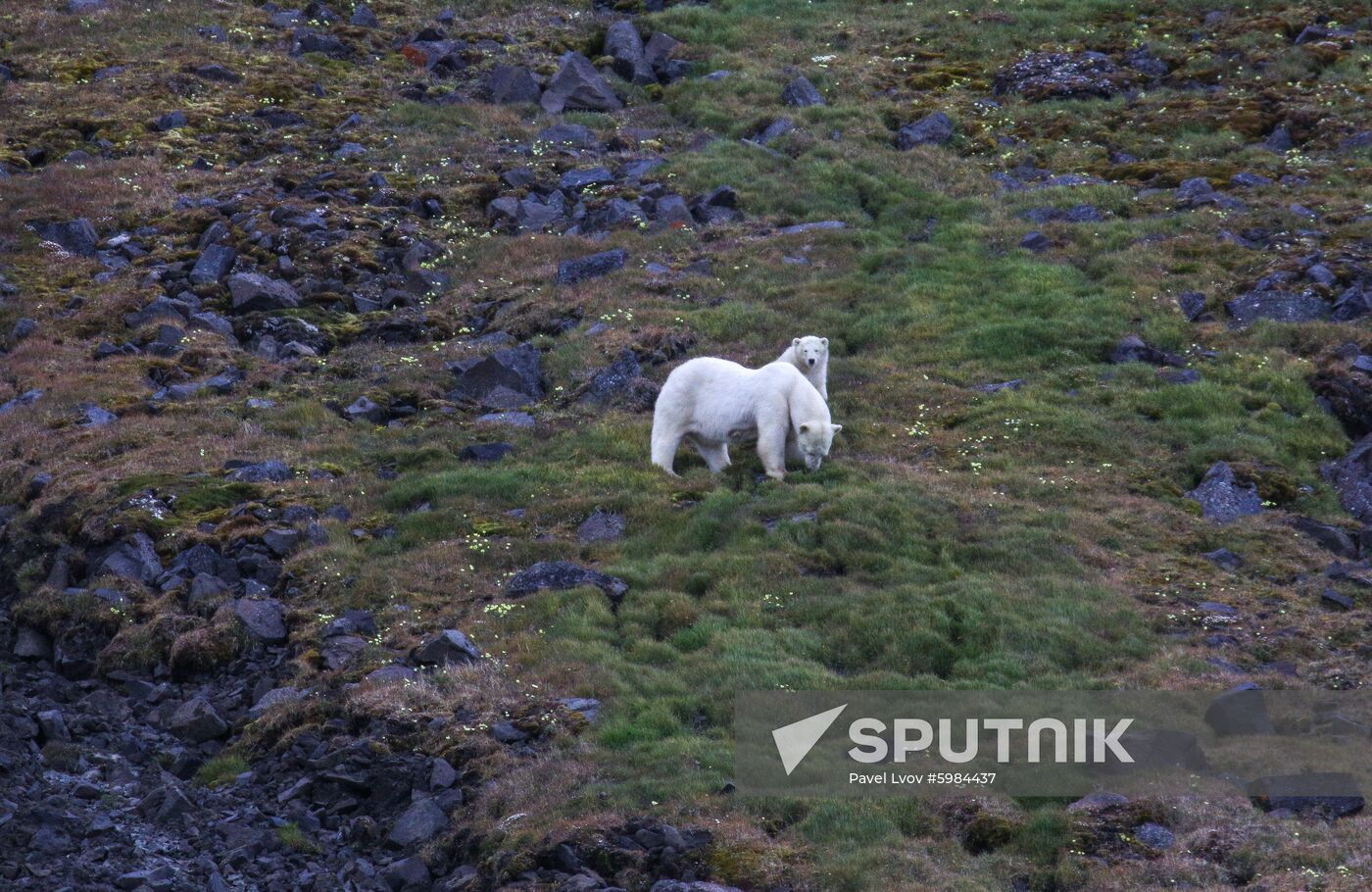 Russia Arctic