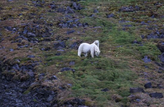 Russia Arctic