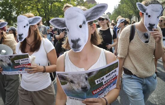 Germany Protests 