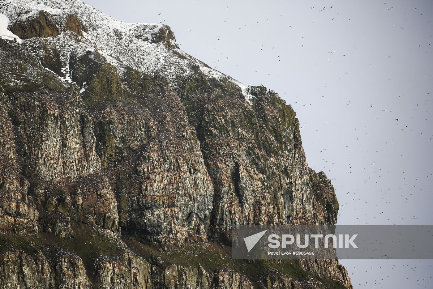 Russia Arctic 