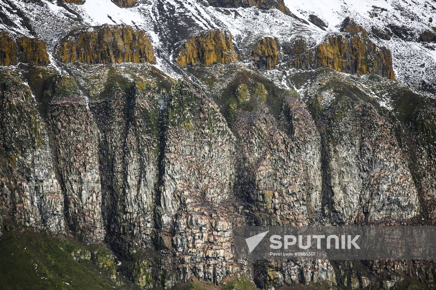 Russia Arctic