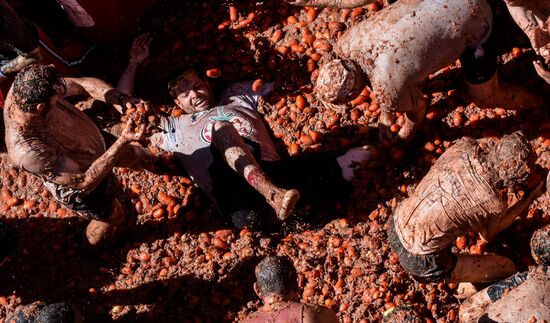 Spain La Tomatina Festival