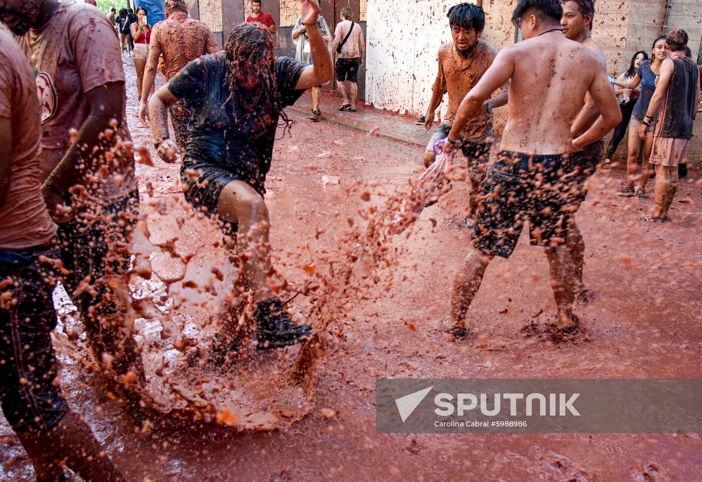 Spain La Tomatina Festival