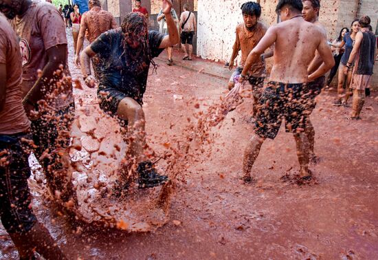 Spain La Tomatina Festival