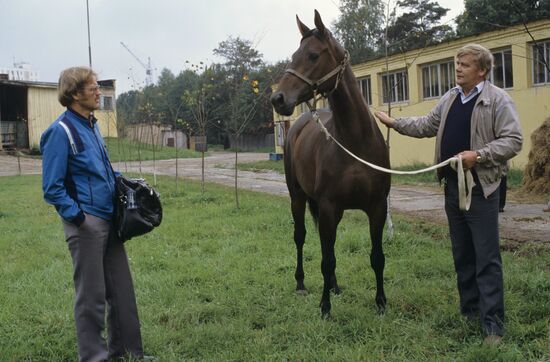 International auction of pedigree and sporting horses