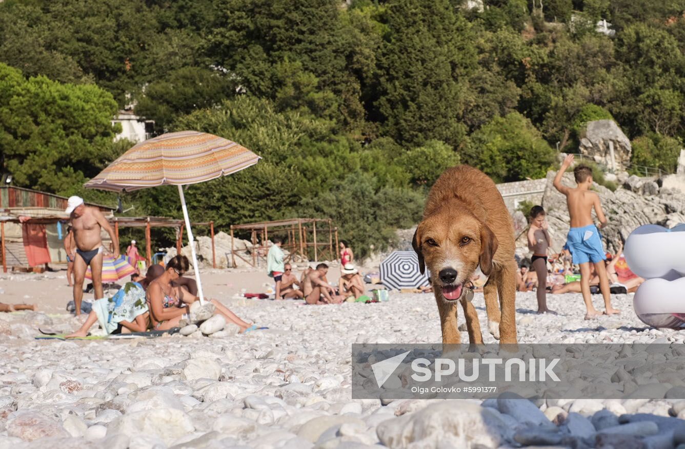 Montenegro Daily Life
