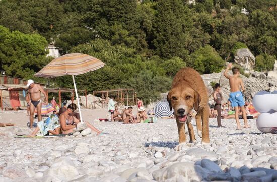Montenegro Daily Life