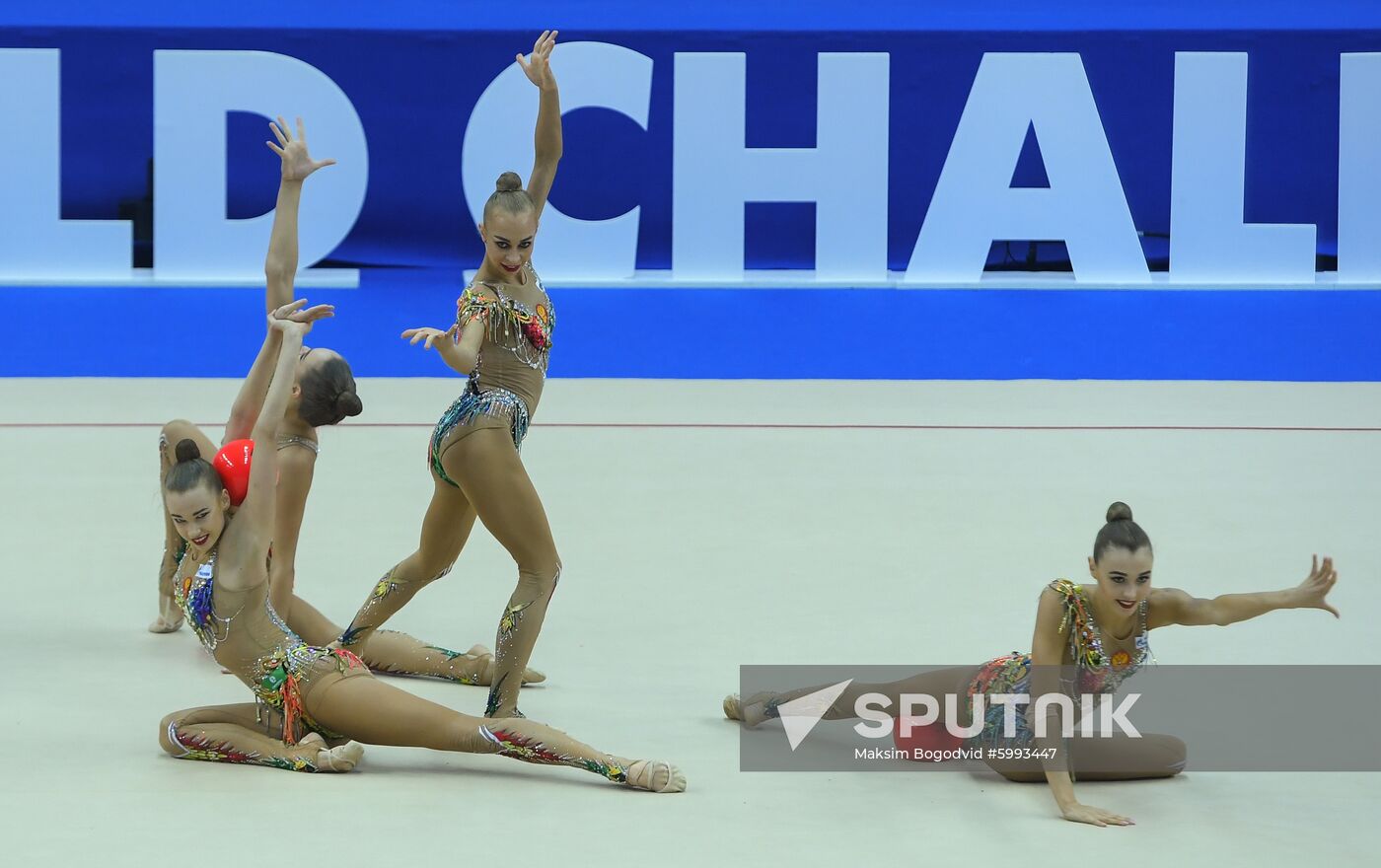 Russia Rhythmic Gymnastics World Challenge Cup